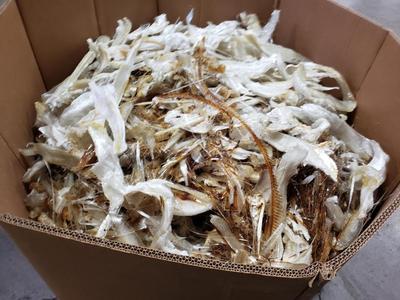 NO.21-0431-K USA GPPS Lumps (1)