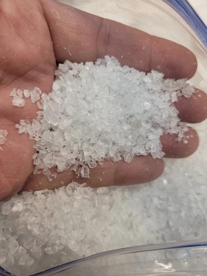 NO.22-0447-T USA PCTG and PBT (2)