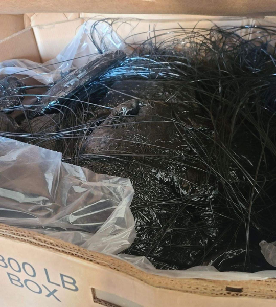 NO.24-1790-V USA nylon 6 and 66 purge and pellets (1).png